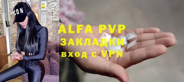 твердый Лагань