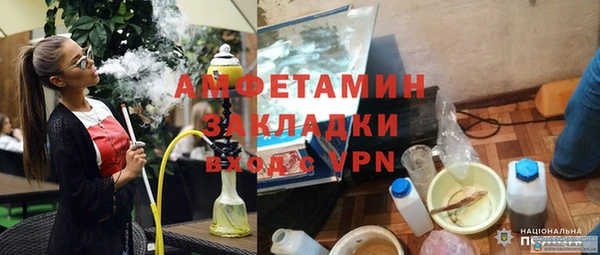 твердый Лагань