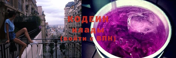 твердый Лагань